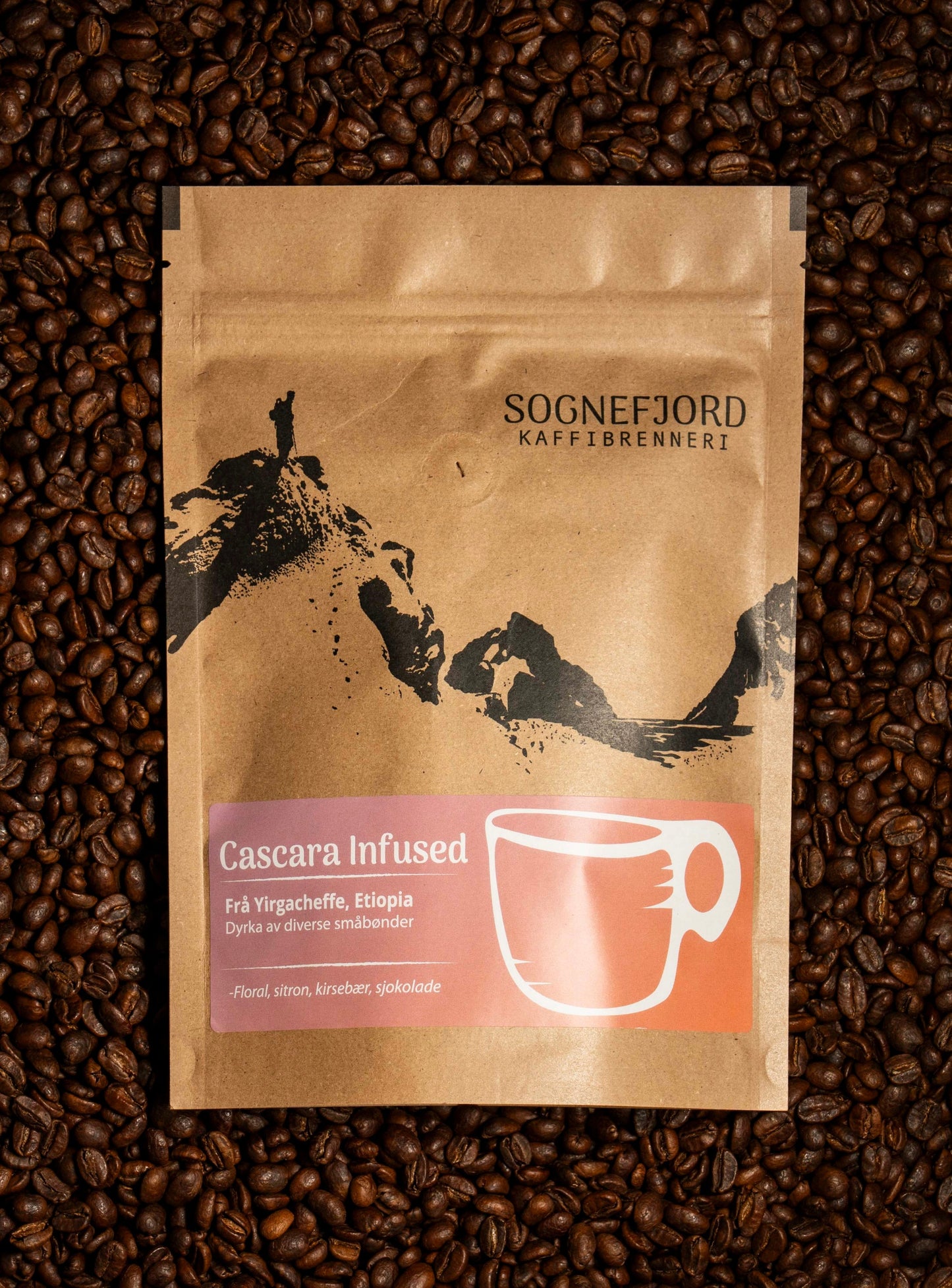 Cascara Infused - Etiopia Sognefjord Kaffibrenneri