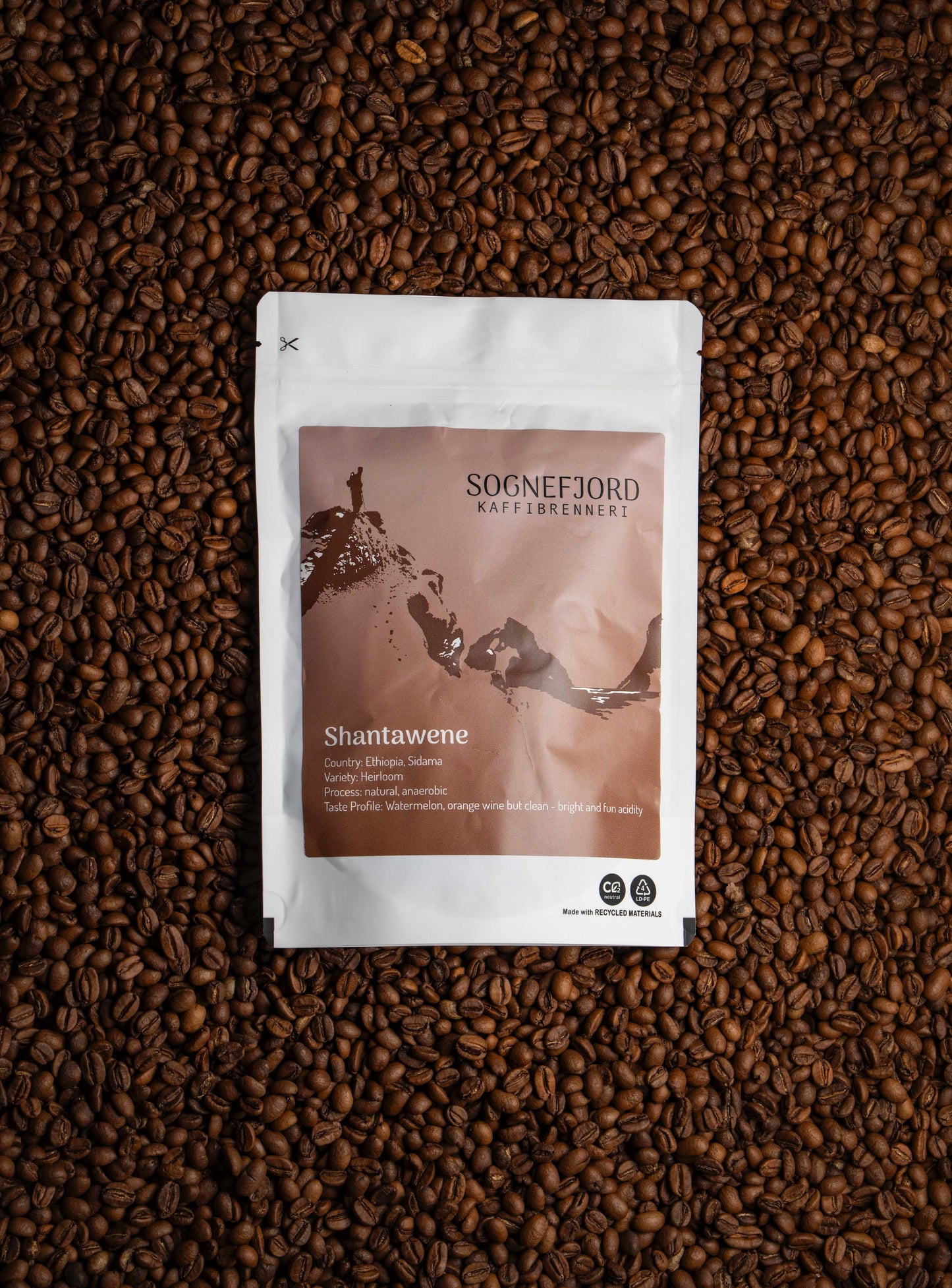 Shantawene - Etiopisk Bærtørka Sognefjord Kaffibrenneri