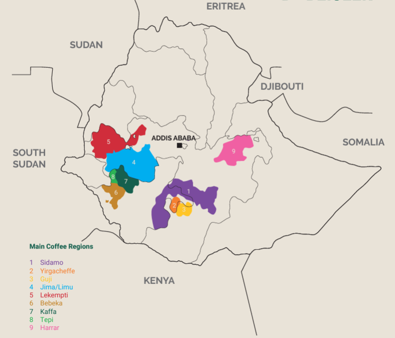 Etiopia - Sidamo - Preorder Sognefjord Kaffibrenneri