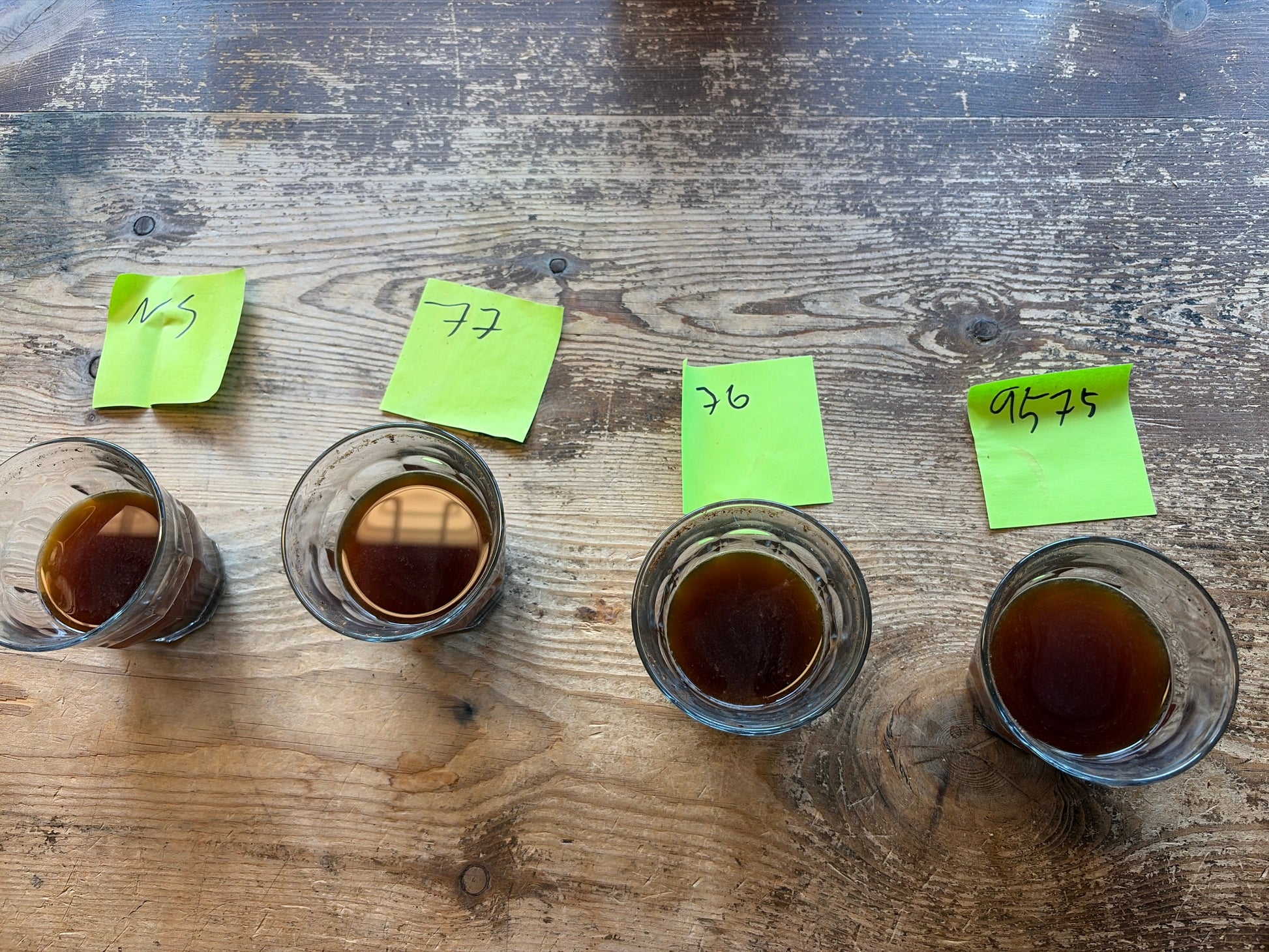 Kenya - Thirikwa Gakuyuini Sognefjord Kaffibrenneri