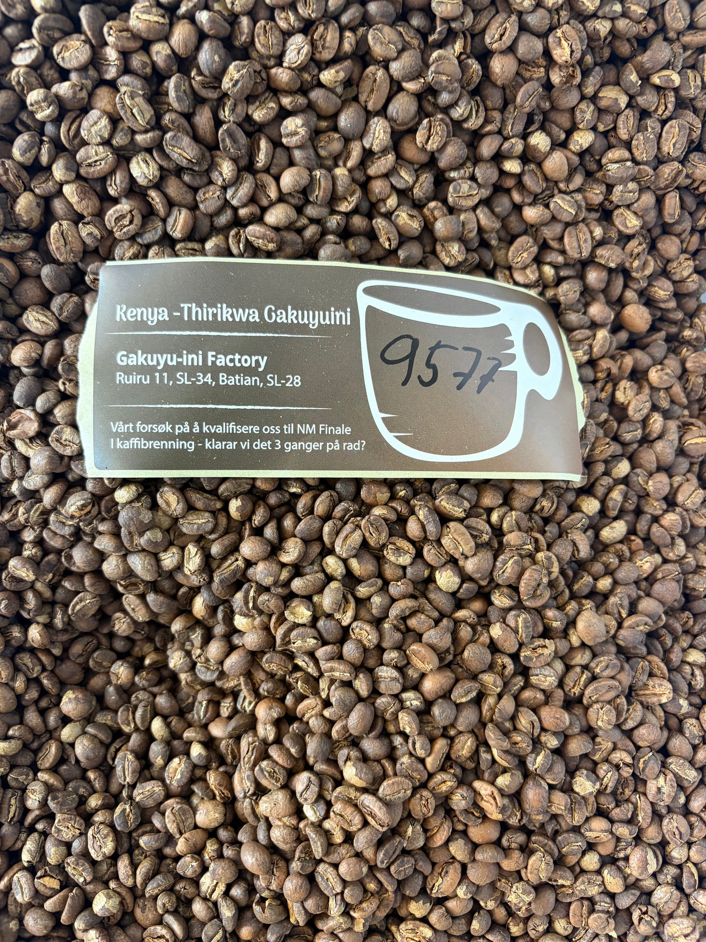 Kenya - Thirikwa Gakuyuini Sognefjord Kaffibrenneri