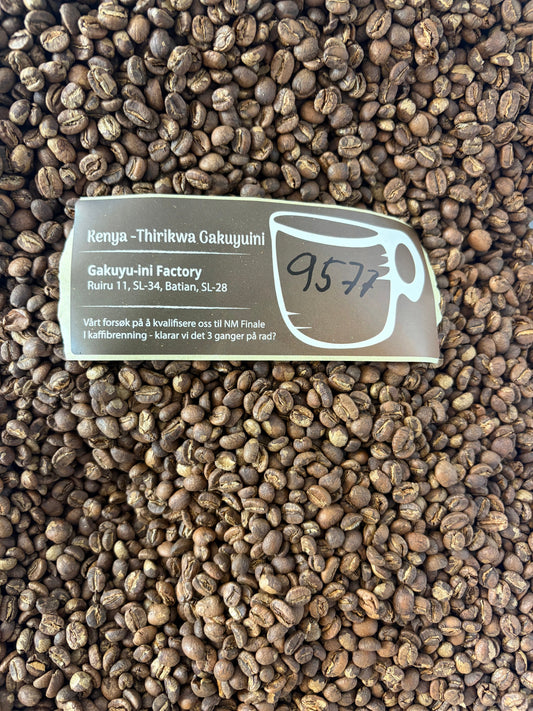 Kenya - Thirikwa Gakuyuini Sognefjord Kaffibrenneri