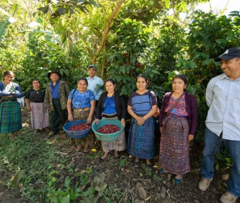 Guatemala - Huehuetenango Sognefjord Kaffibrenneri